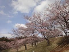 加護坊山自然公園