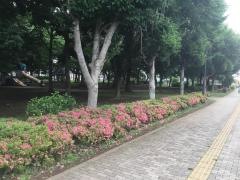 長沼町公園