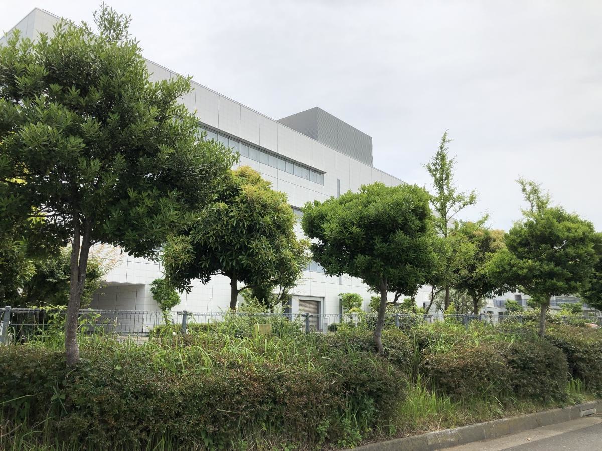 神奈川県立保健福祉大学
