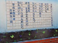 港小学校