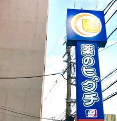 薬ヒグチ柏原駅前店