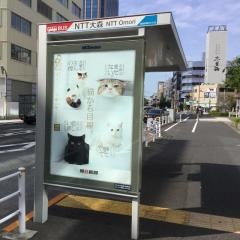 「ＮＴＴ大森」バス停留所