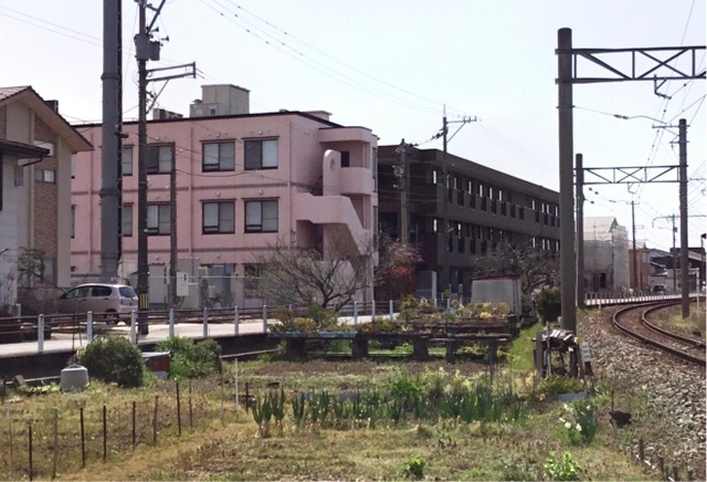 なでしこの丘