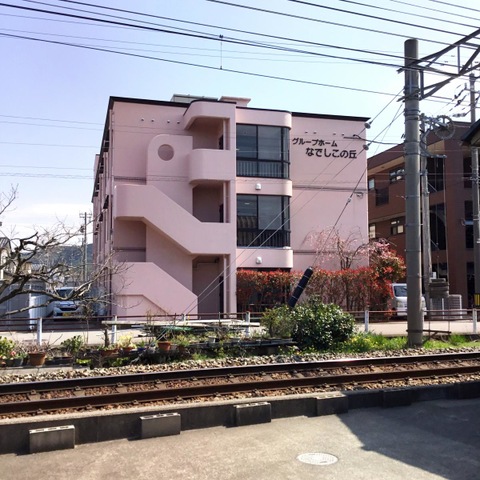 なでしこの丘