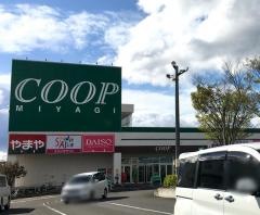 ザ・ダイソー　宮城生協岩沼店