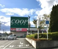ザ・ダイソー　宮城生協岩沼店
