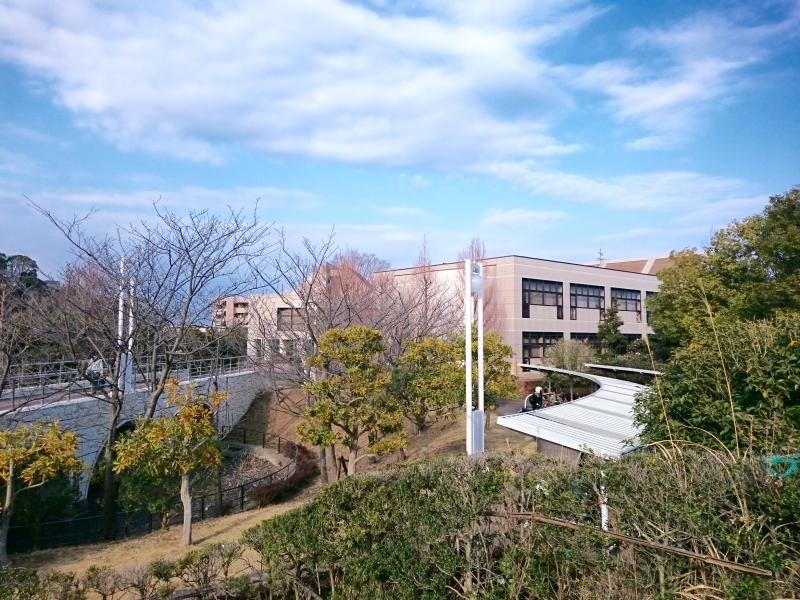 全景