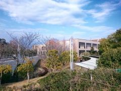 清水看護専門学校