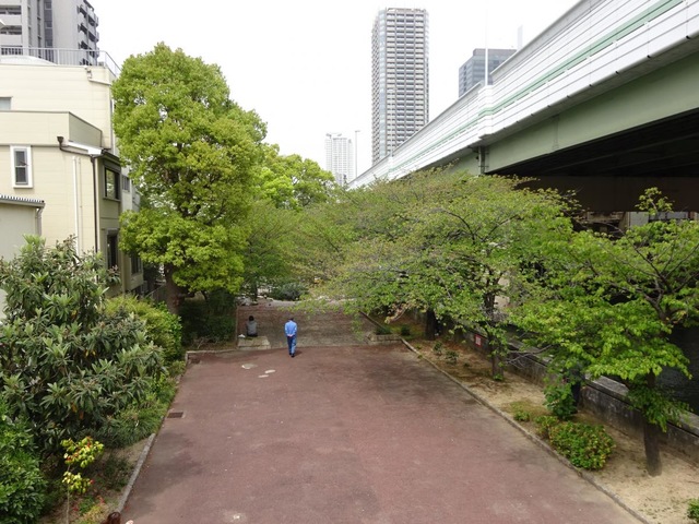 投稿写真6