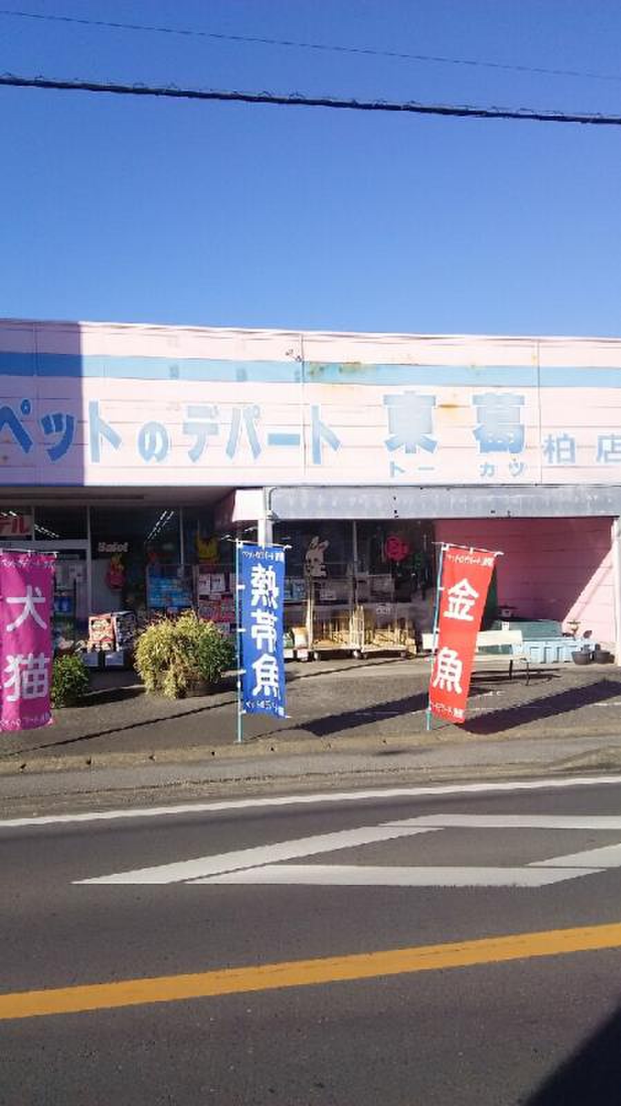 ペット の デパート 東 葛 柏 店(01)