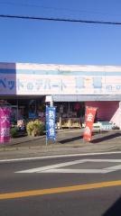 ペットのデパート東葛　柏店