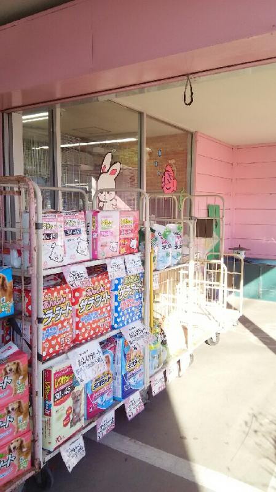ペット の デパート 東 葛 柏 店