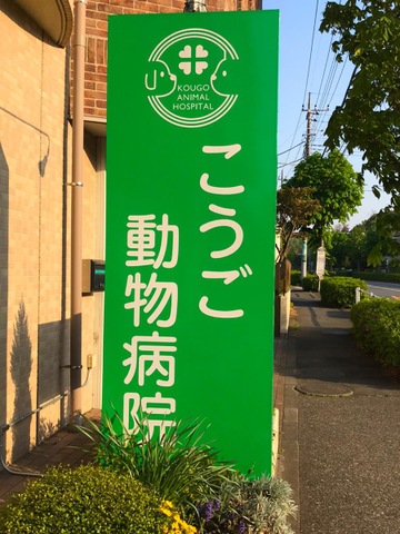 投稿写真7
