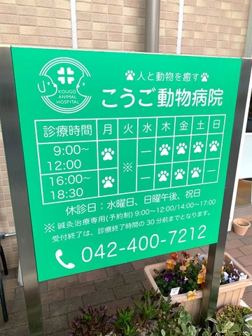 投稿写真1