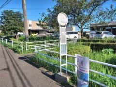 「白山通り」バス停留所
