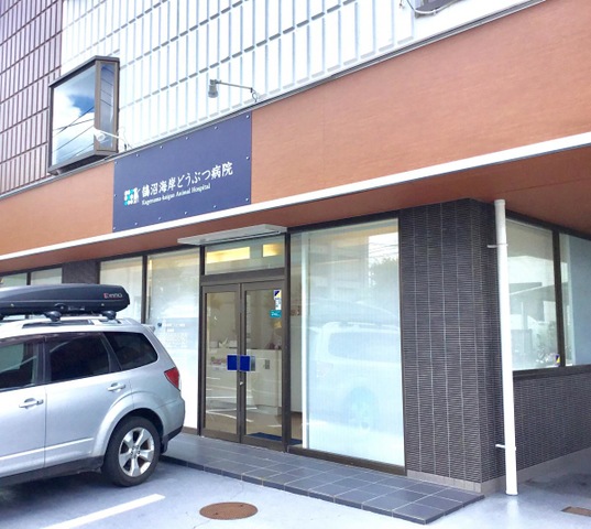 施設写真11