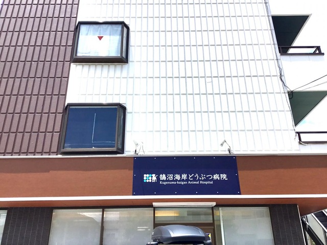 投稿写真7