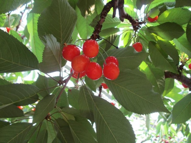 施設写真19