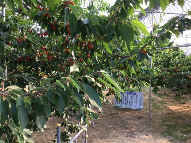 施設写真15