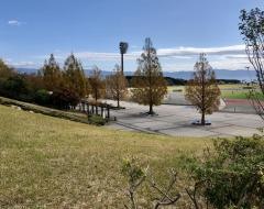 愛鷹広域公園