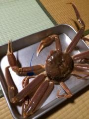 民宿はし本