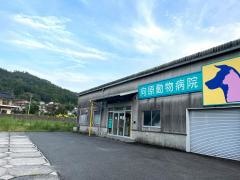 向原動物病院
