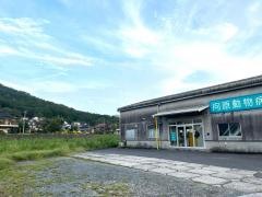 向原動物病院