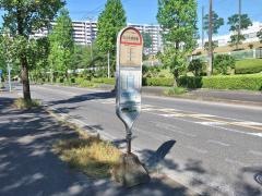 「白山北緑地前」バス停留所