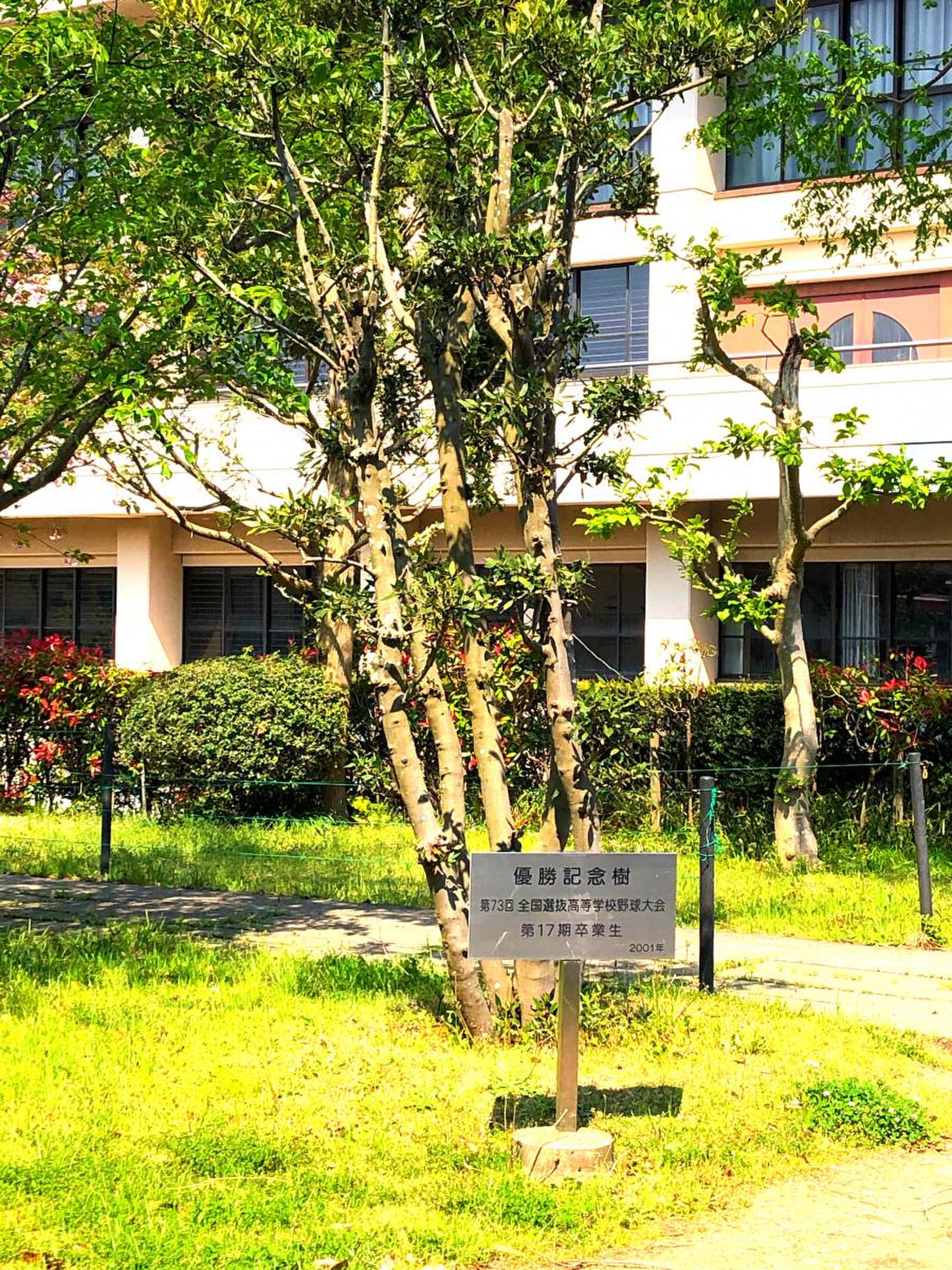 常 総 学院 入口