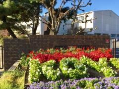 埼玉県立入間向陽高等学校