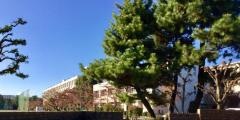 埼玉県立入間向陽高等学校