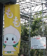 小野まるよし農園