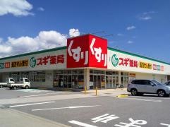 スギ薬局　木之本店