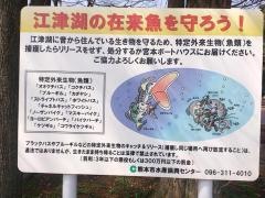 水前寺江津湖公園