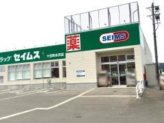 ドラッグセイムス　十日町水沢店