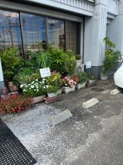 からつ屋
