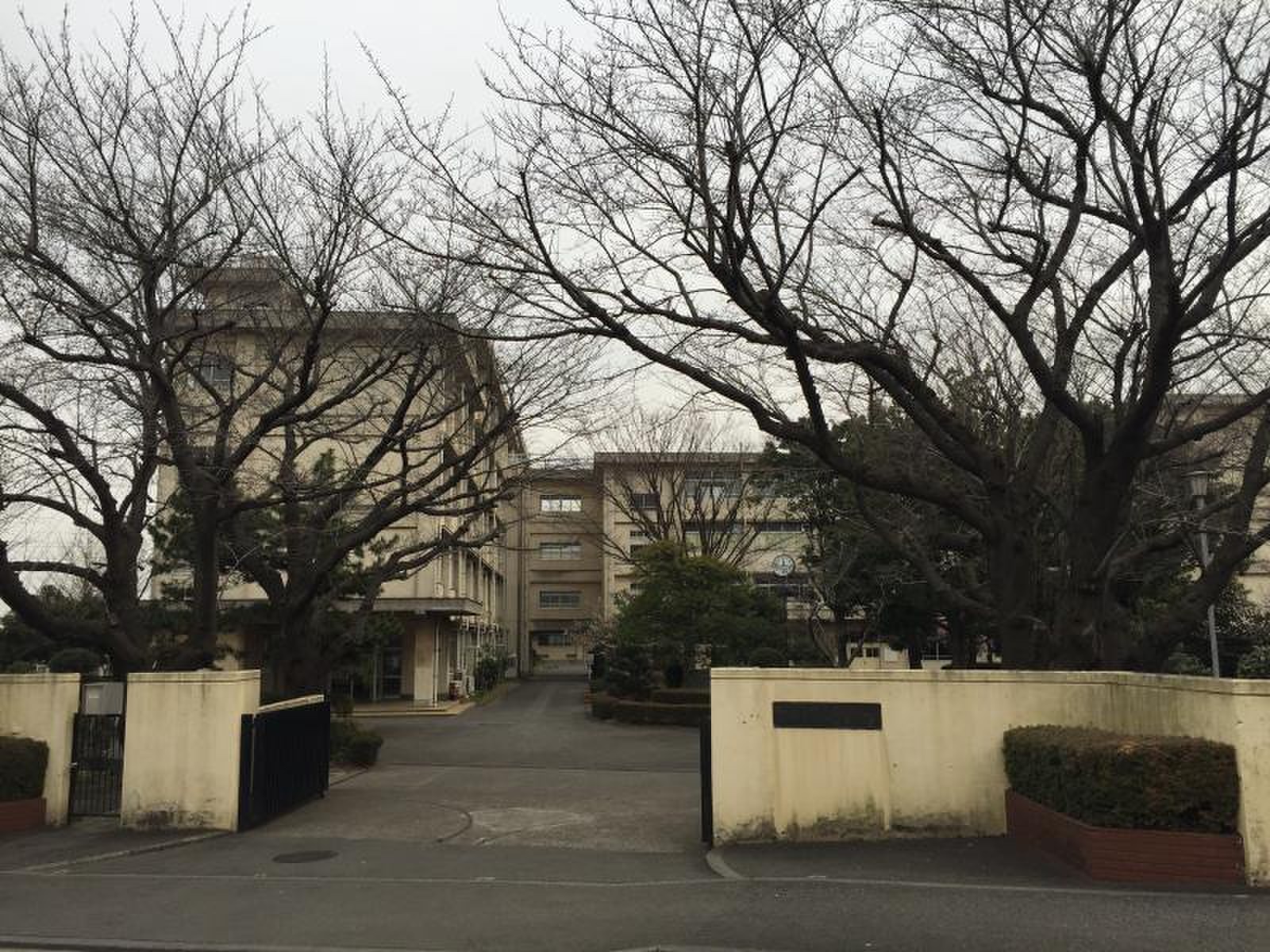公の場での発言・インタビュー報道記録