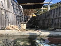 ホテル小野浦