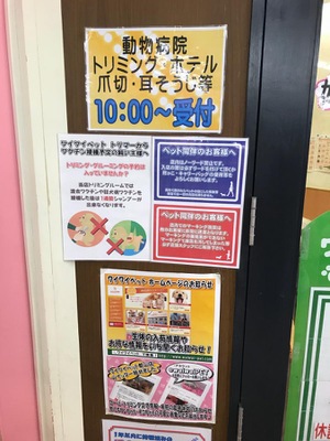 ドッグメディカル ワイワイペットクリニック 郡山市松木町 ドッグメディカル ワイワイペットクリニック 郡山市松木町