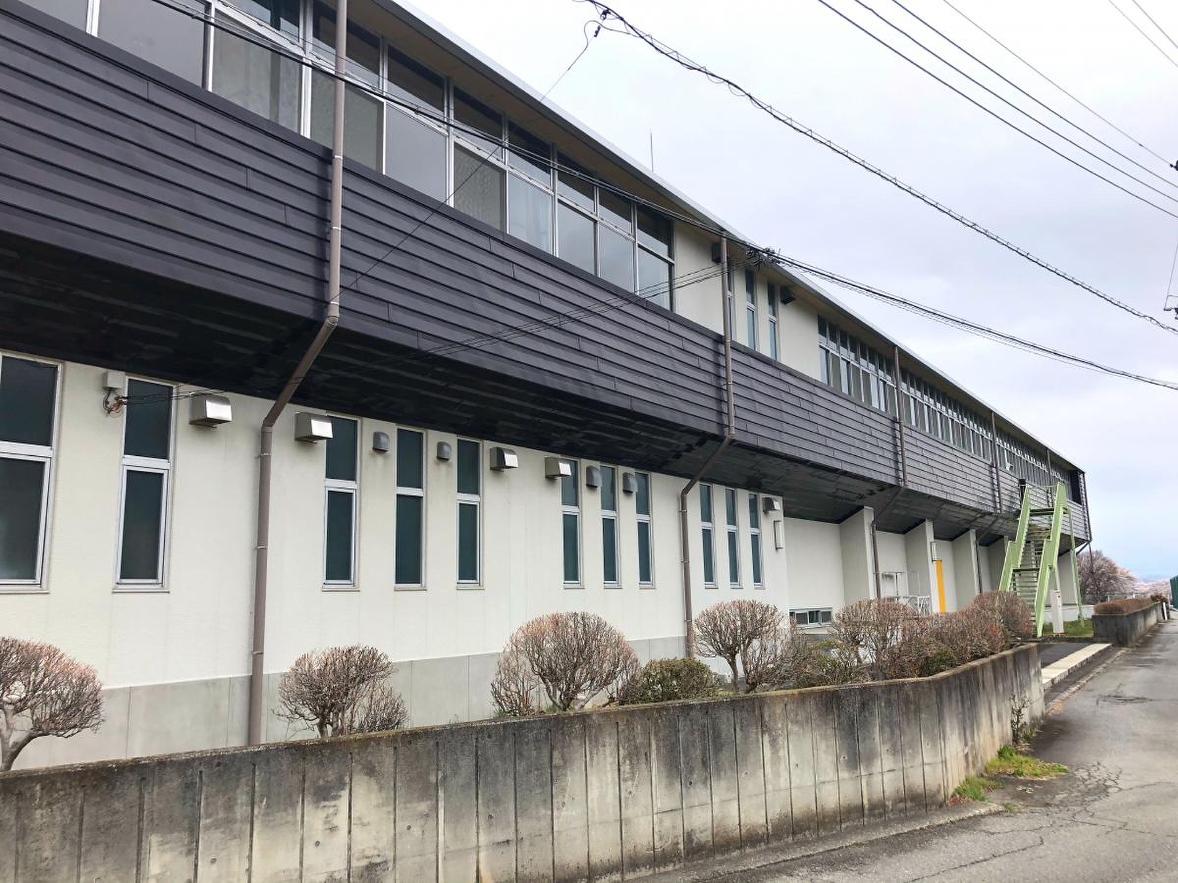 活動歴および当時の関連ビジュアル記録
