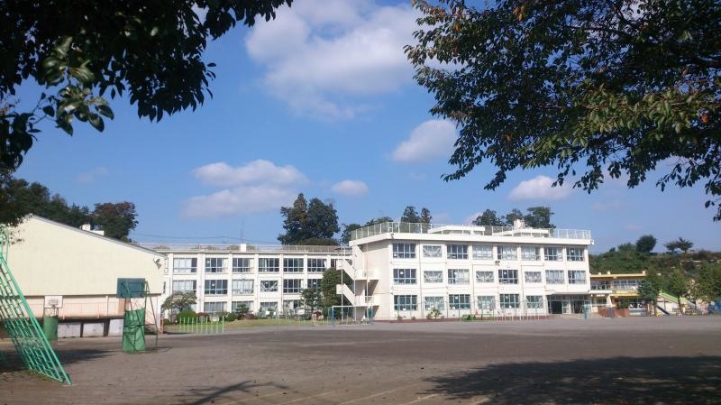 大きい。