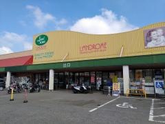 ランドロームフードマーケット山武店
