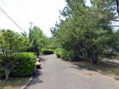 湖陽緑道公園