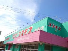 ドラッグストアコスモス　水俣店