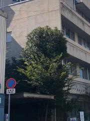 図南病院