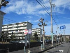 「岩成台北」バス停留所