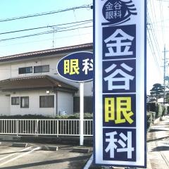 金谷眼科