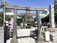 白髭神社（客人大権現）