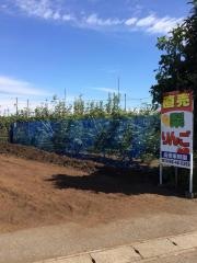 高橋果樹園