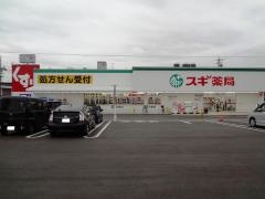 スギ薬局　清水が丘店